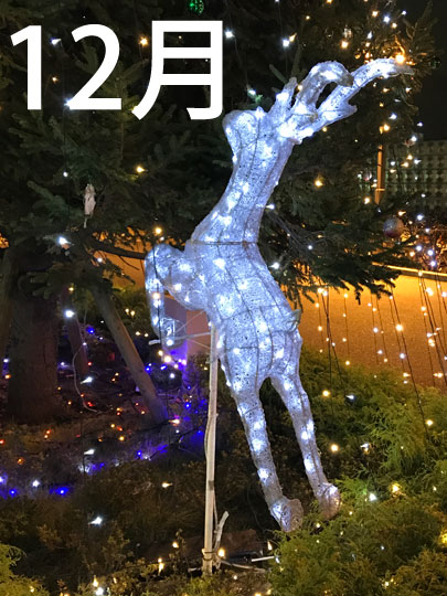 f:id:takahikonojima:20161228165533j:plain