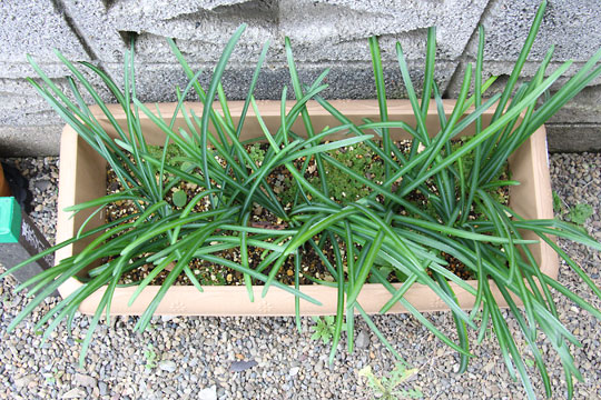 f:id:takahikonojima:20161231104220j:plain