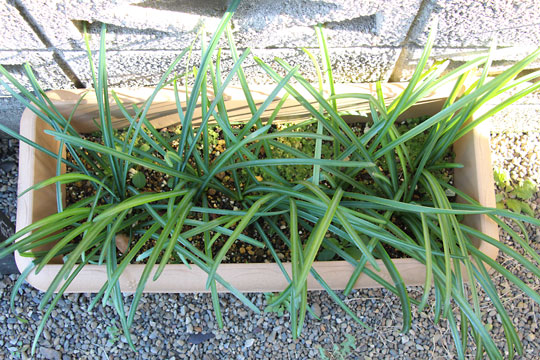 f:id:takahikonojima:20161231104247j:plain