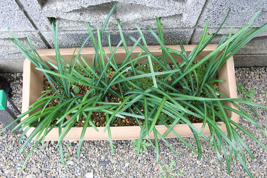 f:id:takahikonojima:20161231104300j:plain