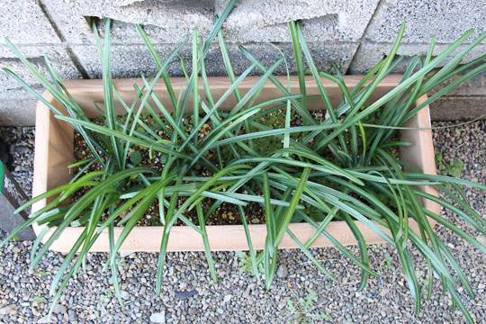 f:id:takahikonojima:20161231104309j:plain