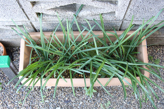 f:id:takahikonojima:20161231104316j:plain