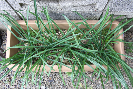 f:id:takahikonojima:20170204104633j:plain