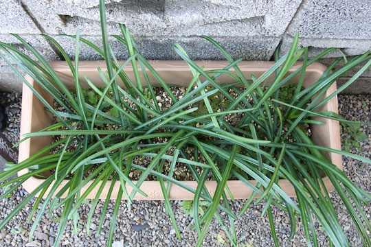 f:id:takahikonojima:20170204104655j:plain