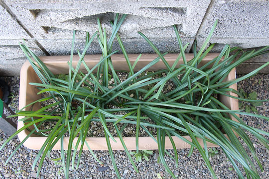 f:id:takahikonojima:20170204104706j:plain