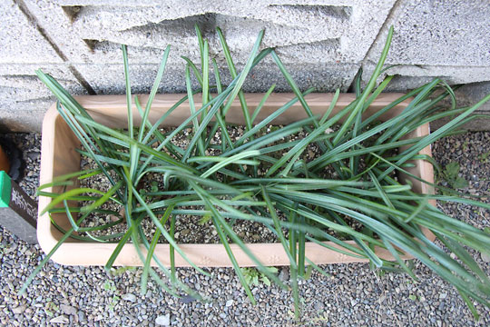 f:id:takahikonojima:20170204104730j:plain