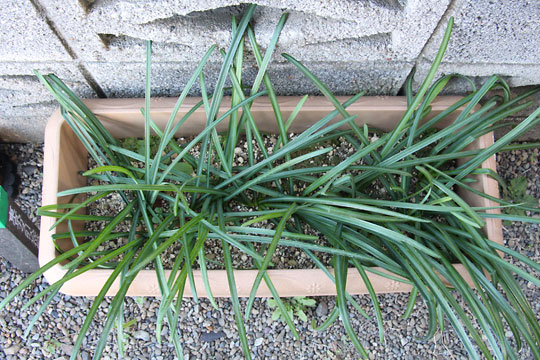 f:id:takahikonojima:20170204104741j:plain