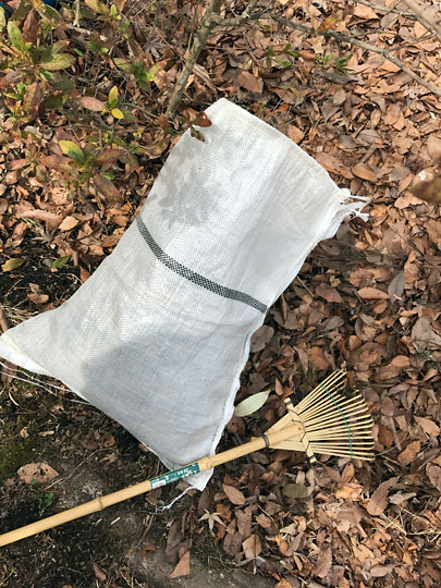 f:id:takahikonojima:20170218204740j:plain