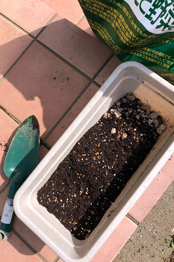 f:id:takahikonojima:20170305155909j:plain f:id:takahikonojima:20170305155909j:plain