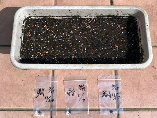 f:id:takahikonojima:20170305155925j:plain f:id:takahikonojima:20170305155925j:plain