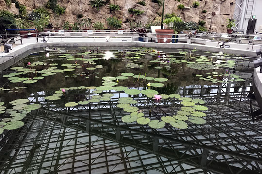 f:id:takahikonojima:20170311205852j:plain