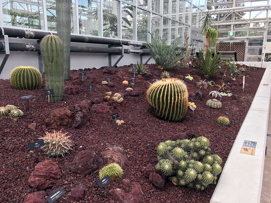 f:id:takahikonojima:20170311205914j:plain