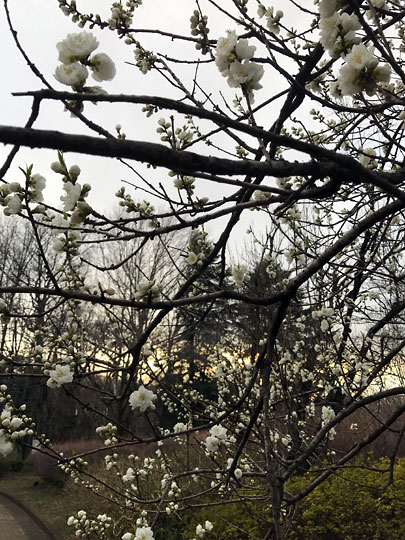 f:id:takahikonojima:20170311205922j:plain