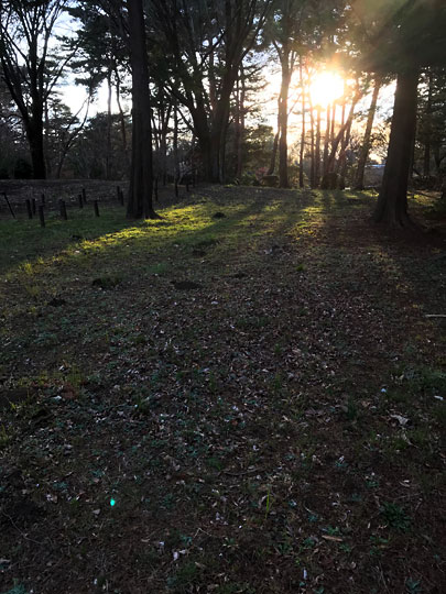 f:id:takahikonojima:20170311205930j:plain