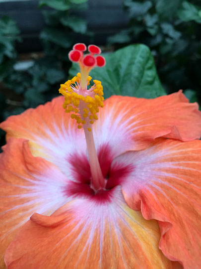 f:id:takahikonojima:20170311210009j:plain