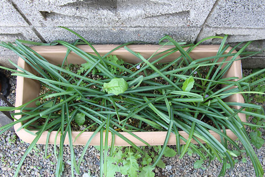 f:id:takahikonojima:20170422191509j:plain