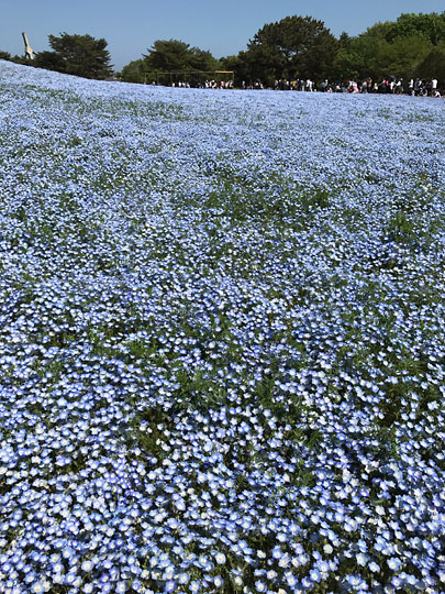 f:id:takahikonojima:20170506093918j:plain