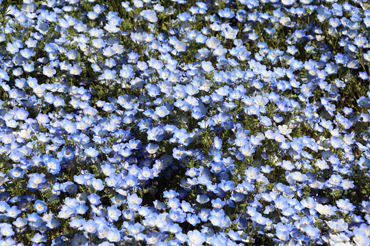 f:id:takahikonojima:20170506093926j:plain