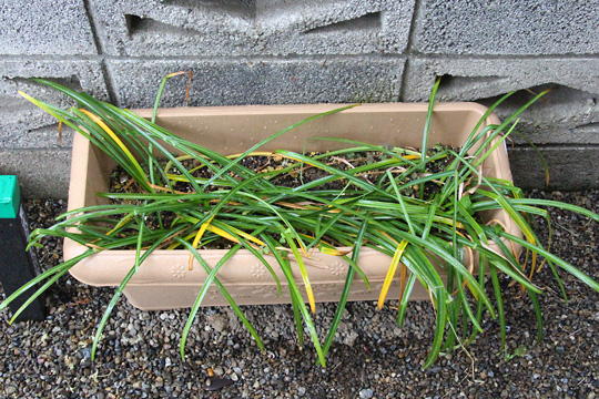 f:id:takahikonojima:20170514112604j:plain