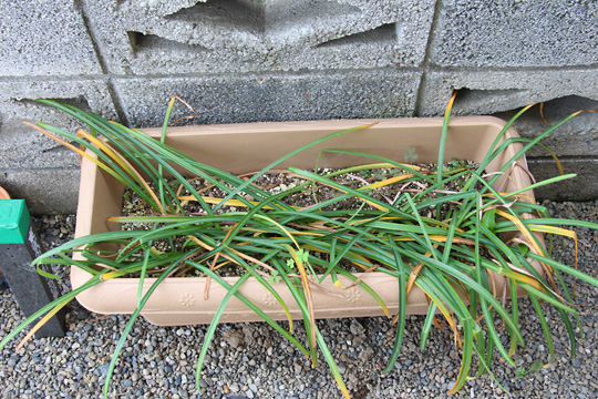 f:id:takahikonojima:20170514112632j:plain