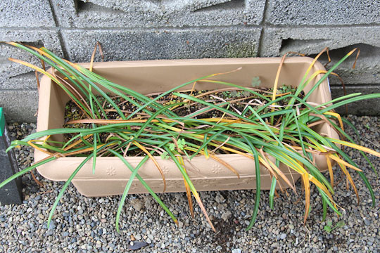 f:id:takahikonojima:20170520202131j:plain