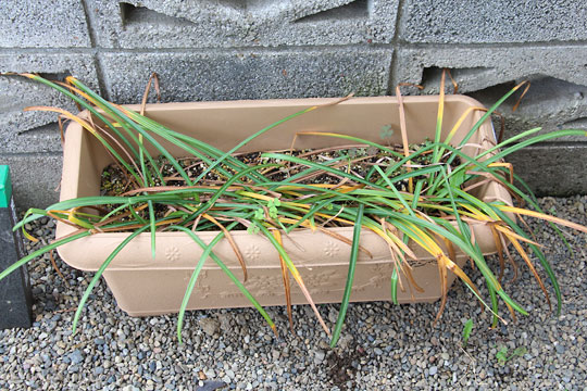 f:id:takahikonojima:20170520202148j:plain