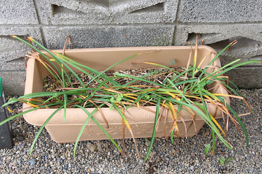 f:id:takahikonojima:20170520202156j:plain