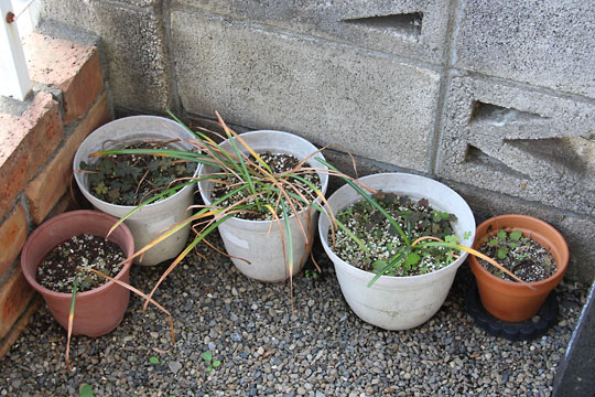 f:id:takahikonojima:20170520202202j:plain