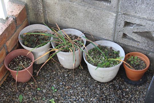 f:id:takahikonojima:20170520202210j:plain