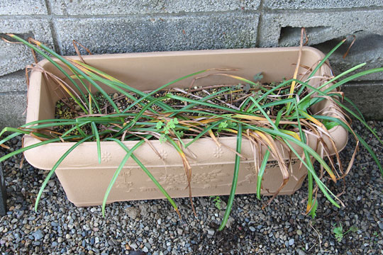 f:id:takahikonojima:20170520202217j:plain