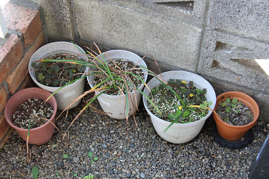 f:id:takahikonojima:20170520202221j:plain