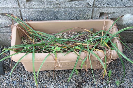 f:id:takahikonojima:20170520202226j:plain