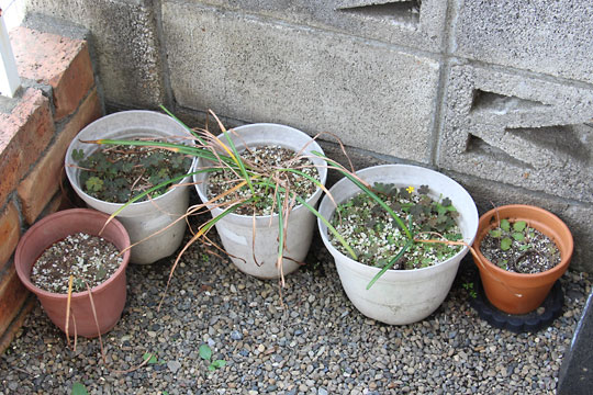 f:id:takahikonojima:20170527143101j:plain