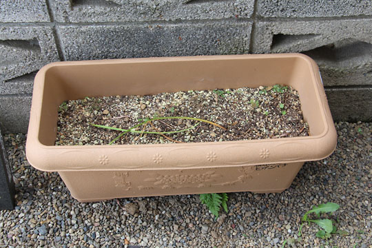 f:id:takahikonojima:20170610092723j:plain