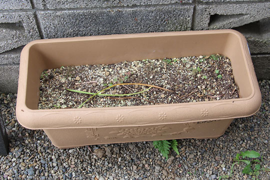 f:id:takahikonojima:20170610092757j:plain