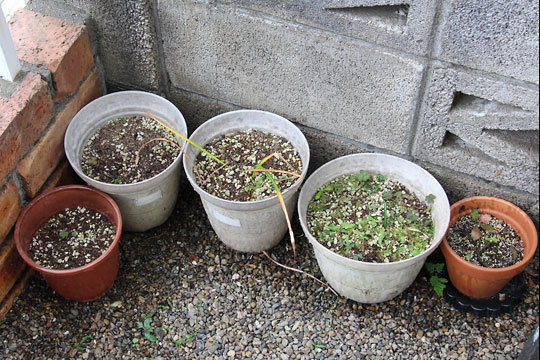 f:id:takahikonojima:20170610092809j:plain