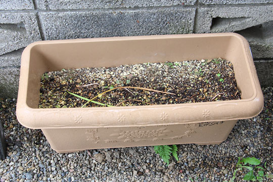 f:id:takahikonojima:20170610092819j:plain