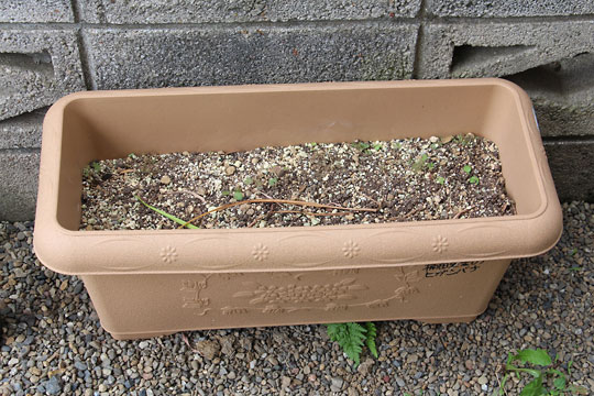 f:id:takahikonojima:20170610092833j:plain