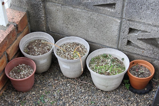 f:id:takahikonojima:20170610092839j:plain