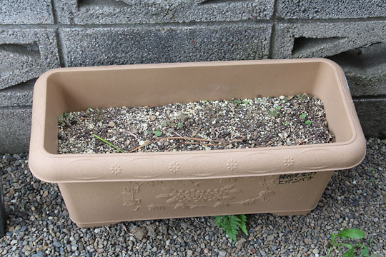 f:id:takahikonojima:20170610092846j:plain