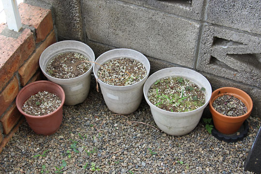 f:id:takahikonojima:20170617092708j:plain