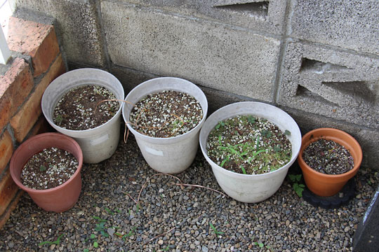 f:id:takahikonojima:20170617092723j:plain