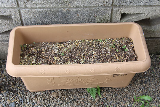 f:id:takahikonojima:20170617092731j:plain