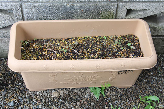 f:id:takahikonojima:20170617092753j:plain