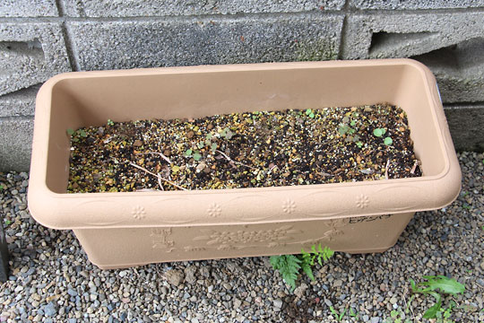 f:id:takahikonojima:20170617092804j:plain