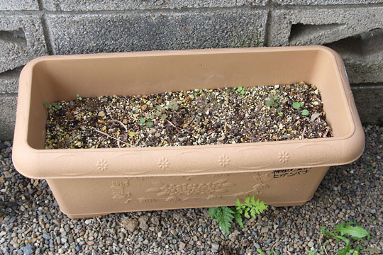 f:id:takahikonojima:20170617092816j:plain