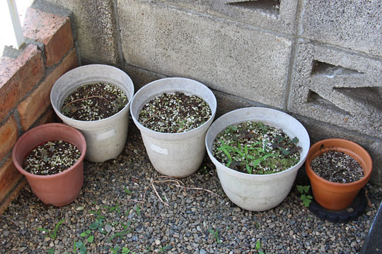 f:id:takahikonojima:20170617092821j:plain