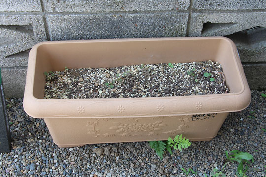 f:id:takahikonojima:20170617092828j:plain