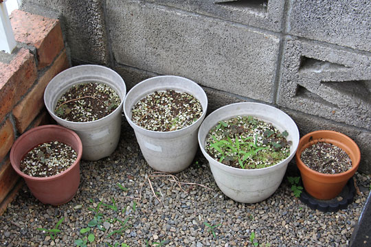 f:id:takahikonojima:20170625091702j:plain