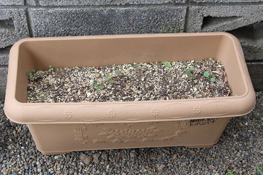 f:id:takahikonojima:20170625091709j:plain